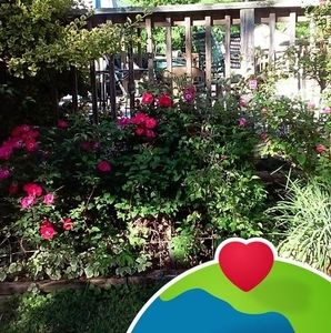 Meet your Posher, Cherry